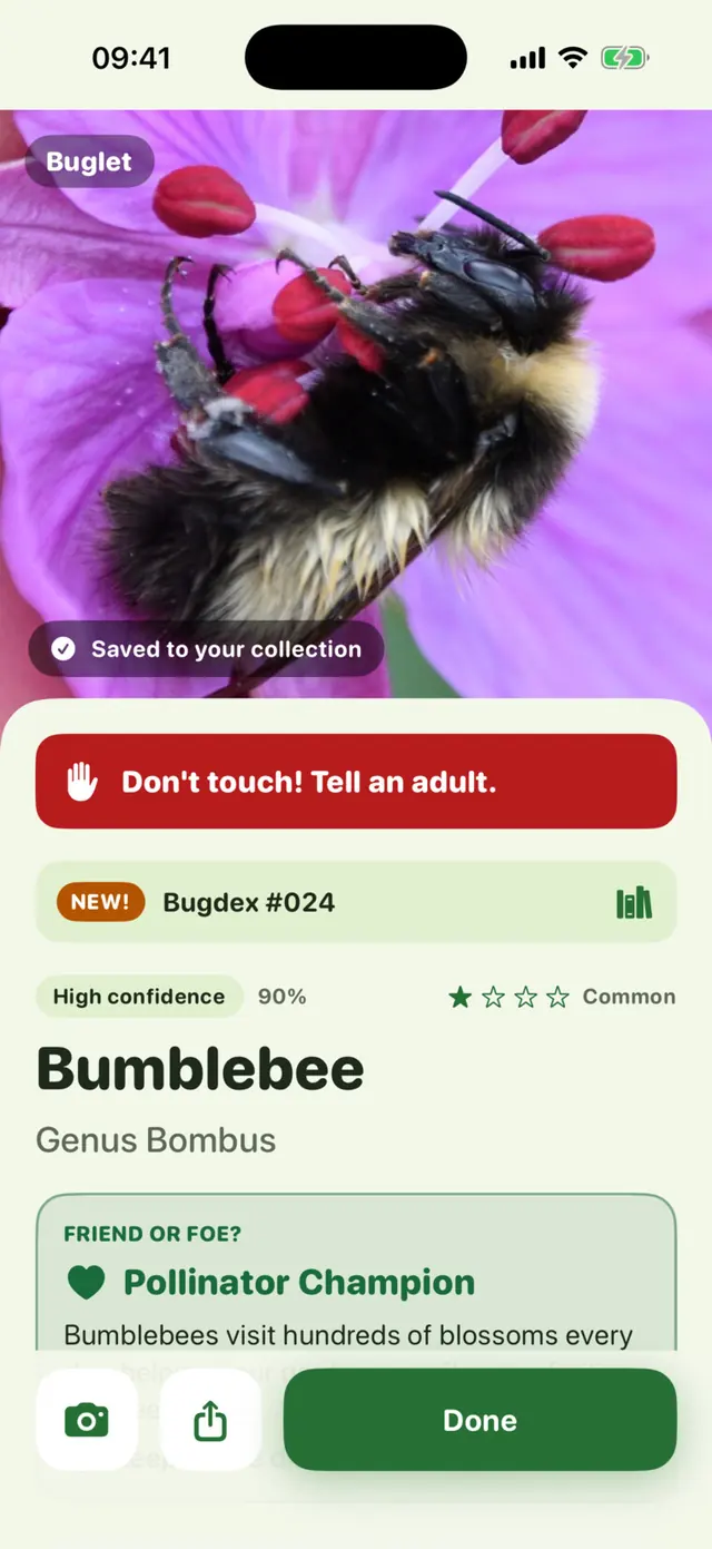 Buglet app screen: A bumblebee: a pollinator champion that stays hands-off