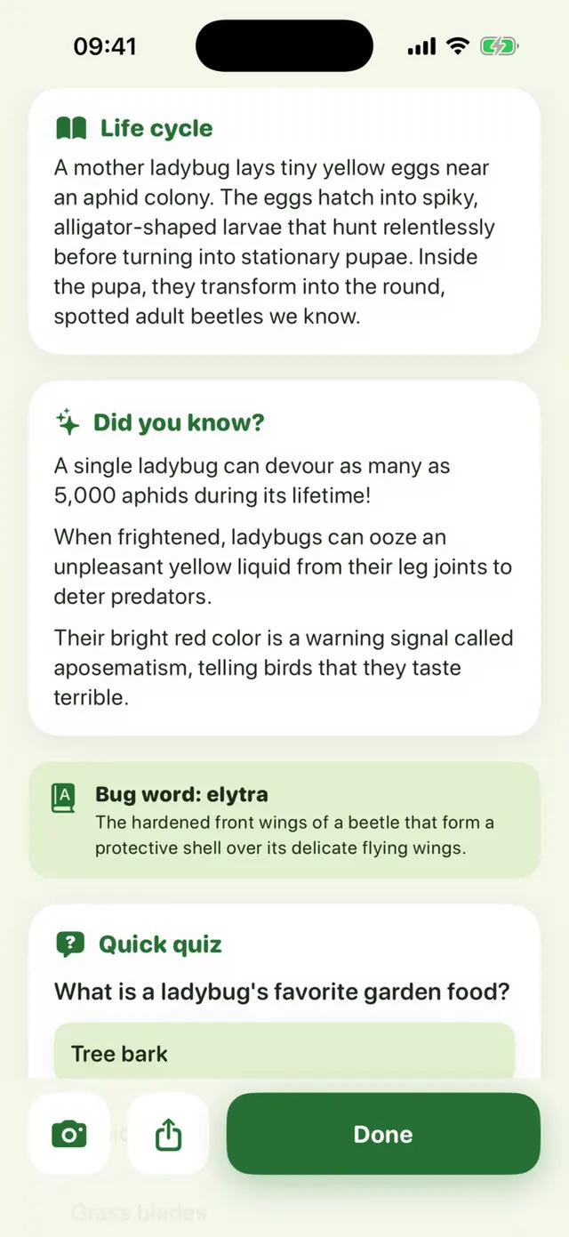 Buglet app screen: Its life cycle, Did you know?, a bug word and a quiz