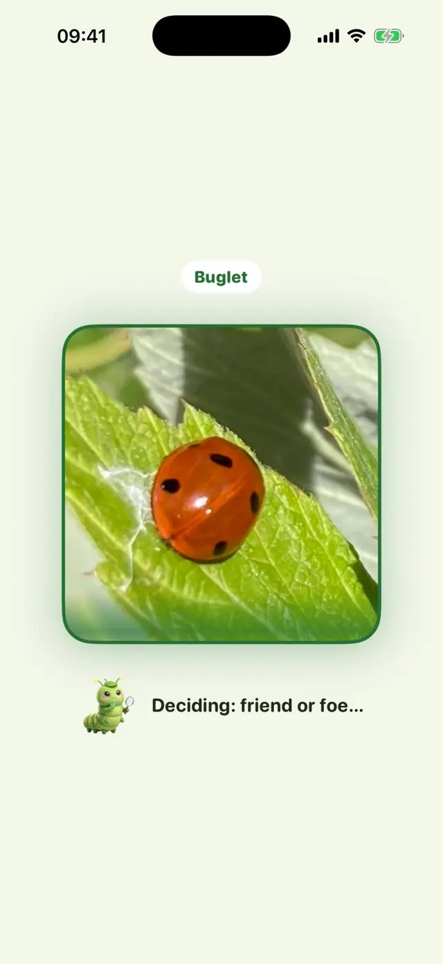 Buglet app screen: Nib decides friend or foe while it scans