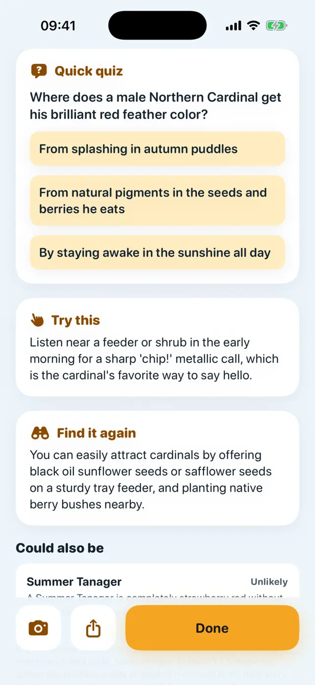 Pipwing app screen: A quick quiz, a Try-this activity and how to find it again