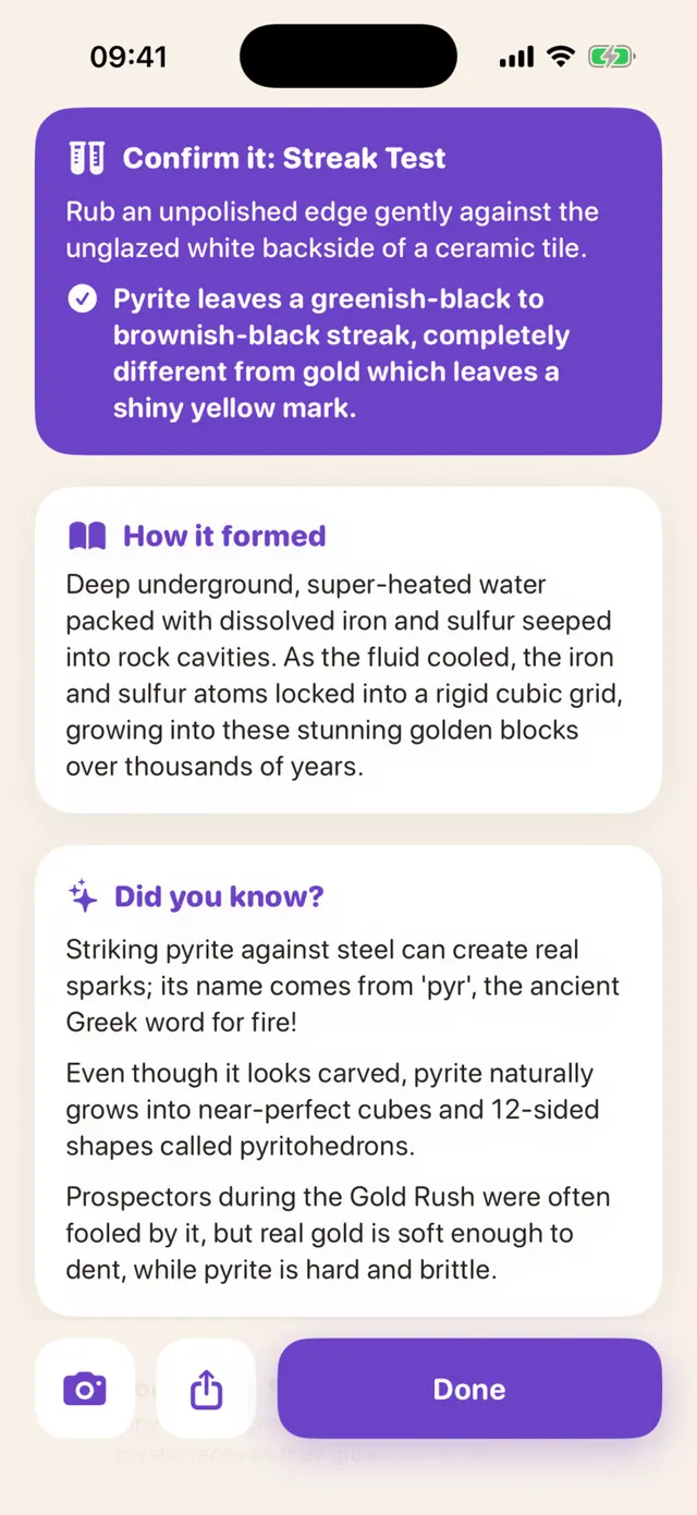Rockbud app screen: A Confirm-it streak test that tells pyrite from gold